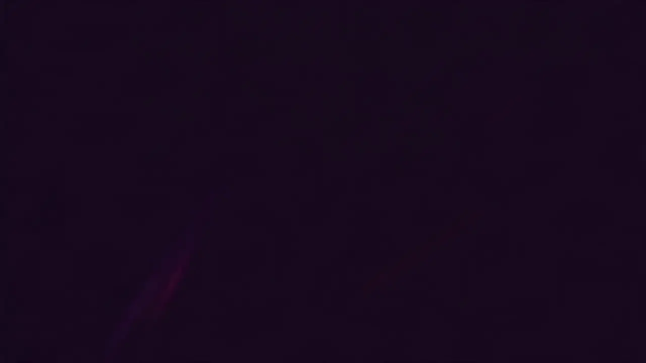 ELARA loading animation